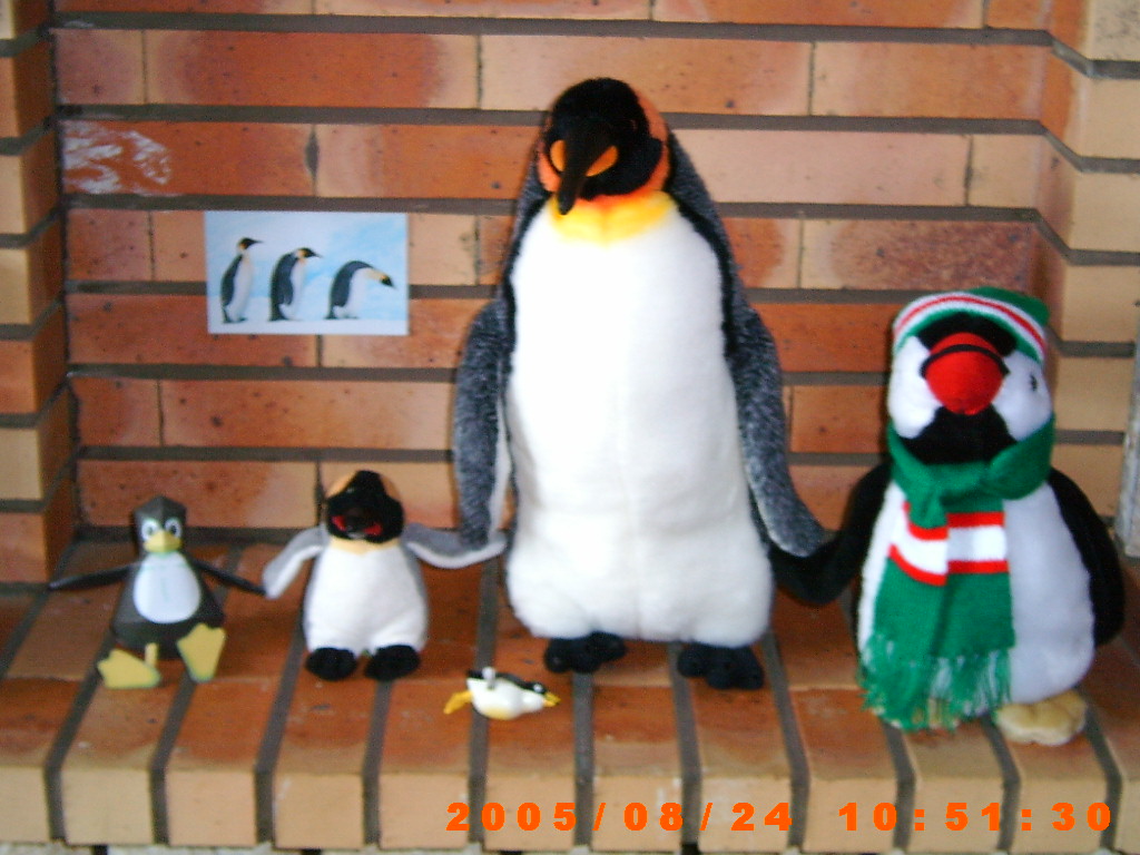 Ma collections de pinguins